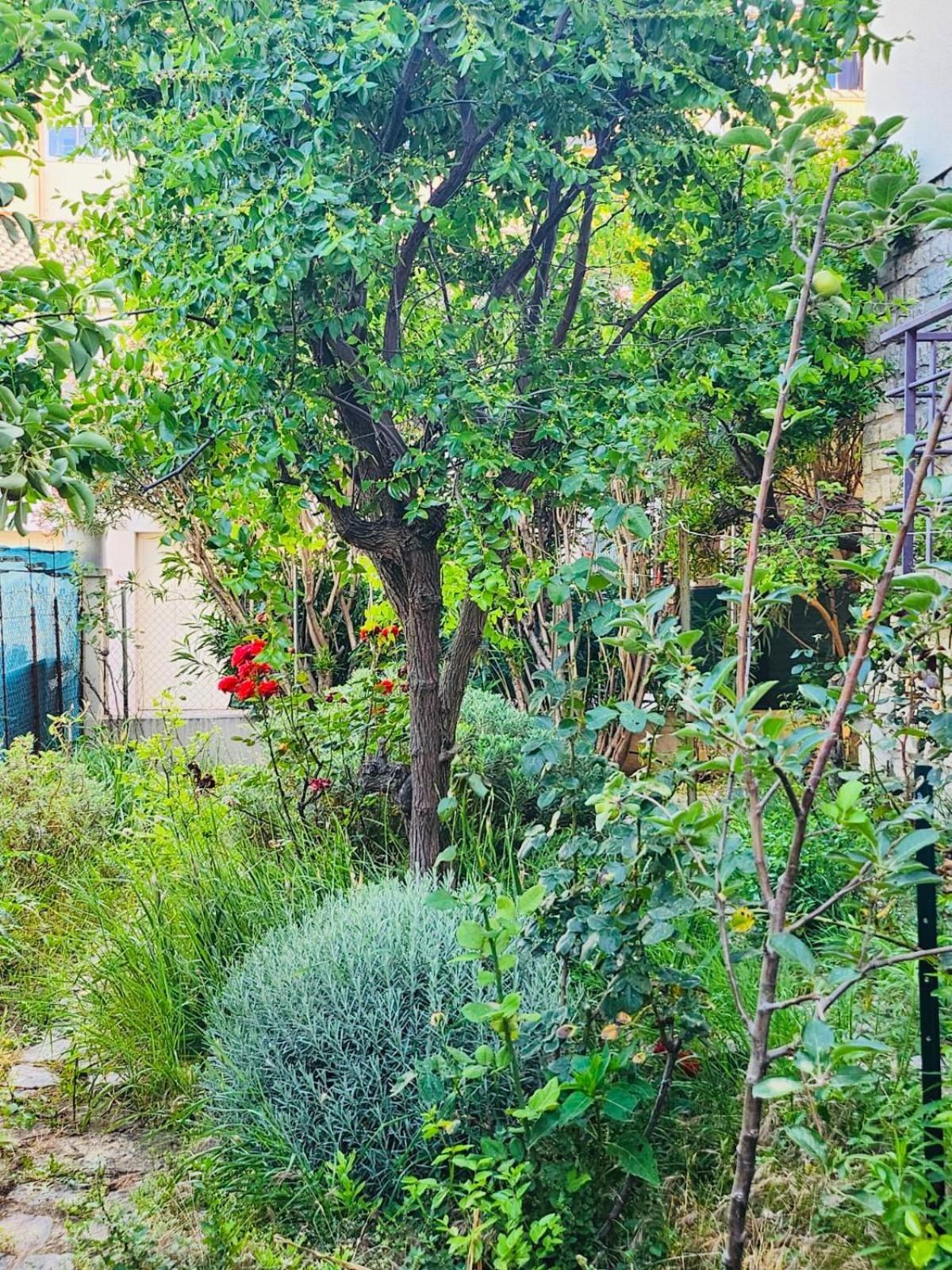 Appartement Paisible Pour 4 Personnes Montpellier Eksteriør billede